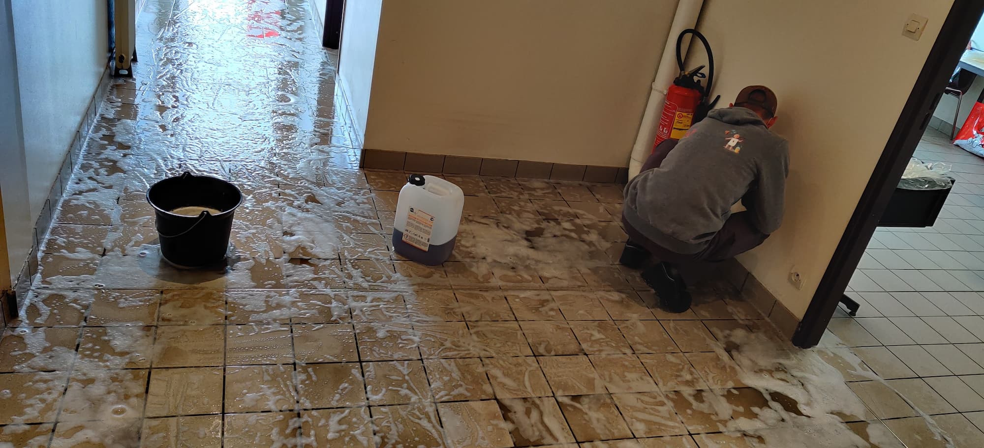 DESINFECTION_PROFESSIONNELLE_1 | As propreté Désinfection professionnelle pour particuliers et professionnels aux environs de Sélestat et Marckolsheim Wittenheim 2